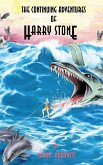 The Continuing Adventures of Harry Stone