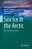 Sea Ice in the Arctic (eBook, PDF)