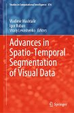 Advances in Spatio-Temporal Segmentation of Visual Data (eBook, PDF)