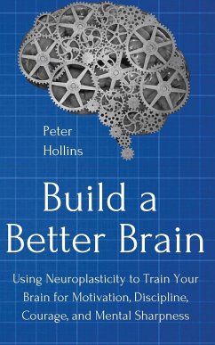 Build a Better Brain - Hollins, Peter