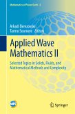 Applied Wave Mathematics II (eBook, PDF)