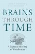 Brains Through Time (eBook, PDF) - Bild 1