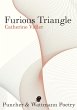 Furious Triangle - Bild 1