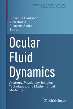 Ocular Fluid Dynamics (eBook, PDF)