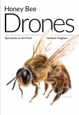 Honey Bee Drones Honey Bee Drones