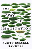 The Way of Imagination (eBook, ePUB)