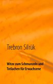 Witze zum Schmunzeln und Totlachen (eBook, ePUB)