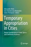 Temporary Appropriation in Cities (eBook, PDF)