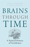 Brains Through Time (eBook, ePUB)