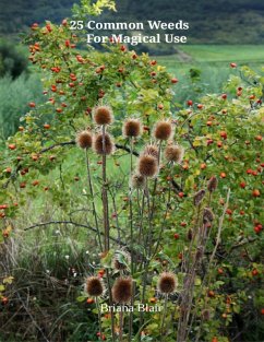 25 Common Weeds for Magical Use (eBook, ePUB) - Blair, Briana