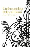 Understanding Political Islam (eBook, ePUB)