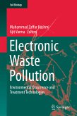 Electronic Waste Pollution (eBook, PDF)