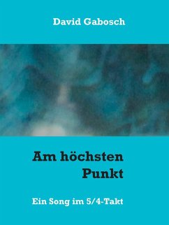 Am höchsten Punkt (eBook, ePUB)