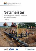 Netzmeister (eBook, PDF)