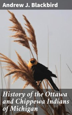 History of the Ottawa and Chippewa Indians of Michigan (eBook, ePUB) - Blackbird, Andrew J.