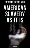 American Slavery as It is: Testimonies (eBook, ePUB)