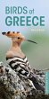 Birds of Greece (eBook, ePUB) - Bild 1