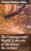 The Underground World: A mirror of life below the surface (eBook, ePUB)