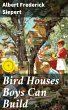 Bird Houses Boys Can Build (eBook, ePUB) - Bild 1