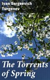 The Torrents of Spring (eBook, ePUB)