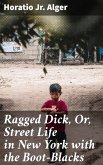 Ragged Dick, Or, Street Life in New York with the Boot-Blacks (eBook, ePUB)