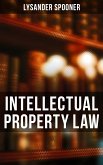 Intellectual Property Law (eBook, ePUB)