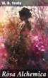 Rosa Alchemica (eBook, ePUB) - Bild 1