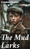 The Mud Larks (eBook, ePUB)