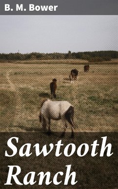 Sawtooth Ranch (eBook, ePUB) - Bower, B. M.