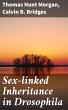 Sex-linked Inheritance in Drosophila... - Bild 1