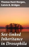 Sex-linked Inheritance in Drosophila (eBook, ePUB)