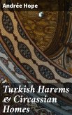 Turkish Harems & Circassian Homes (eBook, ePUB)