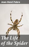 The Life of the Spider (eBook, ePUB)