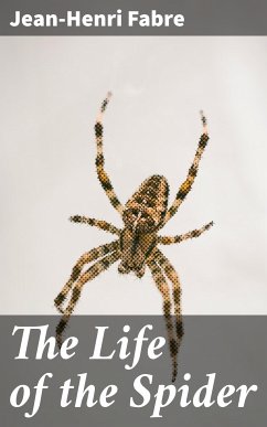 The Life of the Spider (eBook, ePUB) - Fabre, Jean-Henri