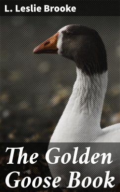 The Golden Goose Book (eBook, ePUB) - Brooke, L. Leslie