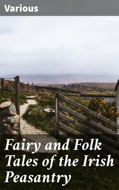 Fairy and Folk Tales of the Irish Peasantry (eBook, ePUB) - Various