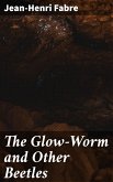 The Glow-Worm and Other Beetles (eBook, ePUB)
