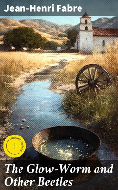 Cover The Glow-Worm and Other Beetles (eBook, ePUB)