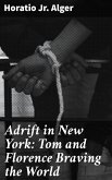 Adrift in New York: Tom and Florence Braving the World (eBook, ePUB)