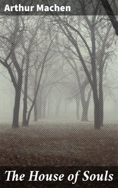 Cover The House of Souls (eBook, ePUB)