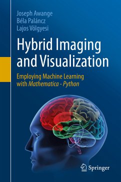 Hybrid Imaging and Visualization (eBook, PDF) - Awange, Joseph; Paláncz, Béla; Völgyesi, Lajos