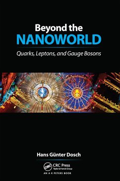 Beyond the Nanoworld - Dosch, H G