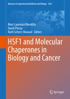 HSF1 and Molecular Chaperones in Biology and Cancer