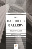 The Calculus Gallery (eBook, ePUB)