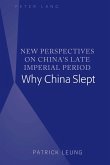 New Perspectives on China¿s Late Imperial Period