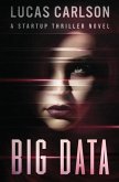 Big Data: A Startup Thriller Novel