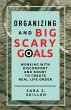Organizing and Big Scary Goals - Bild 1