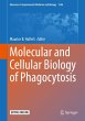 Molecular and Cellular Biology of... - Bild 1