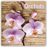 Orchids - Orchideen 2021