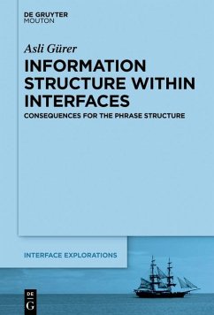 Information Structure Within Interfaces (eBook, ePUB) - Gürer, Asli